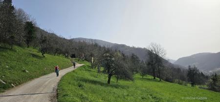 28. gorski tek k Svetemu Primožu (1)